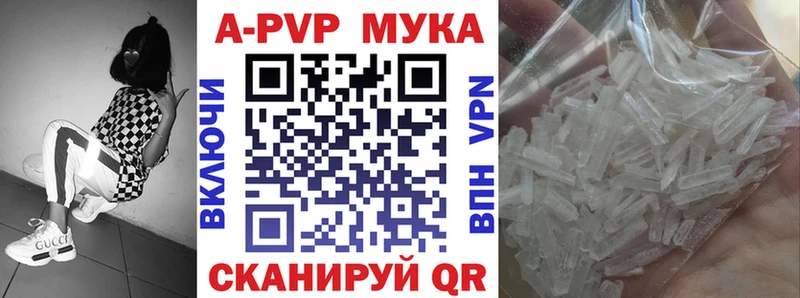 дарнет шоп  Гусев  OMG ONION  A PVP кристаллы 