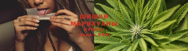 кокаин колумбия Богданович