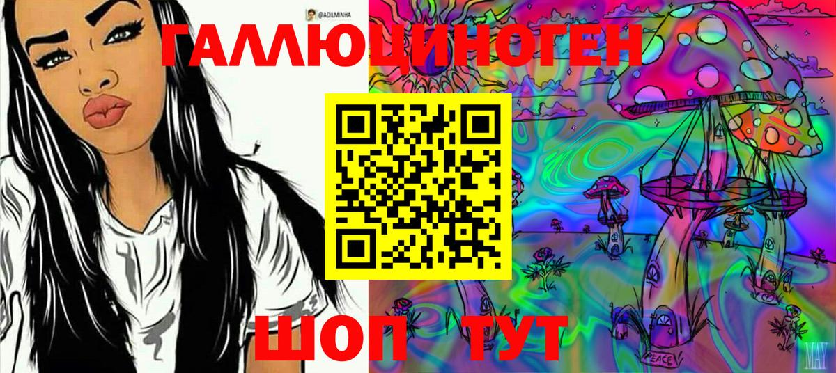 Псилоцибиновые грибы Cubensis Гусев