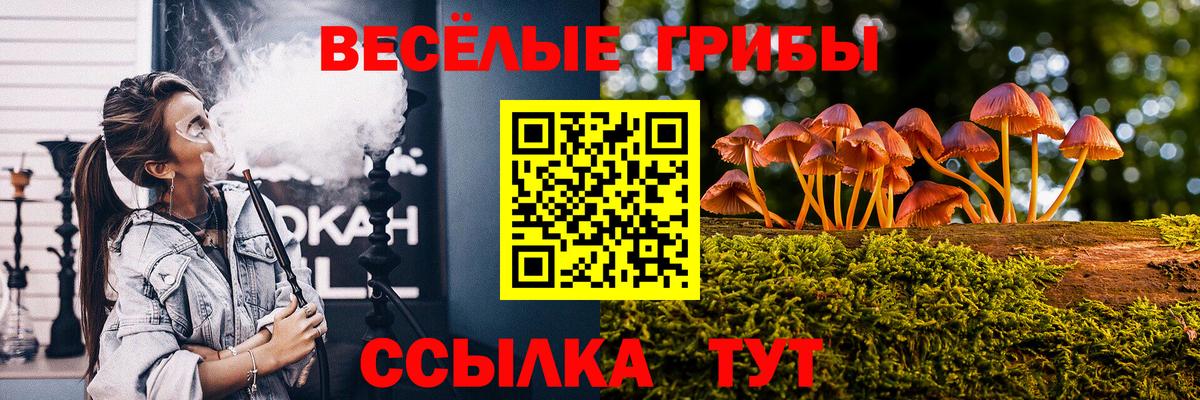 как найти наркотики  Гусев  Галлюциногенные грибы мицелий 