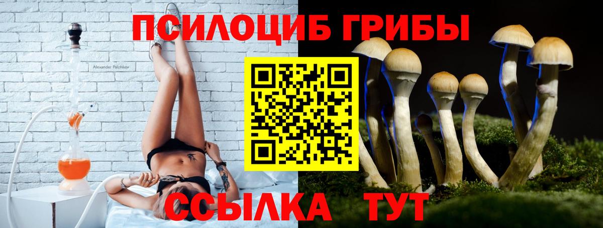 Галлюциногенные грибы Psilocybe  Вход с VPN  Гусев  Галлюциногенные грибы прущие грибы 
